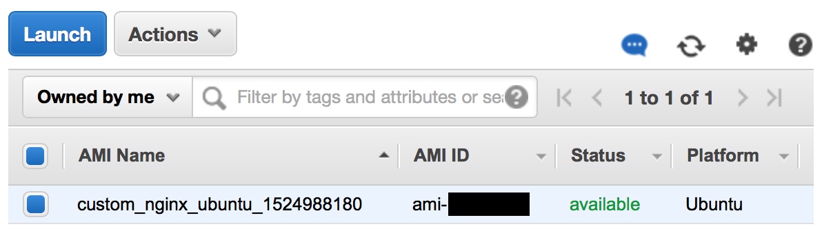 Figure 3 - AMI Built from Packer Template