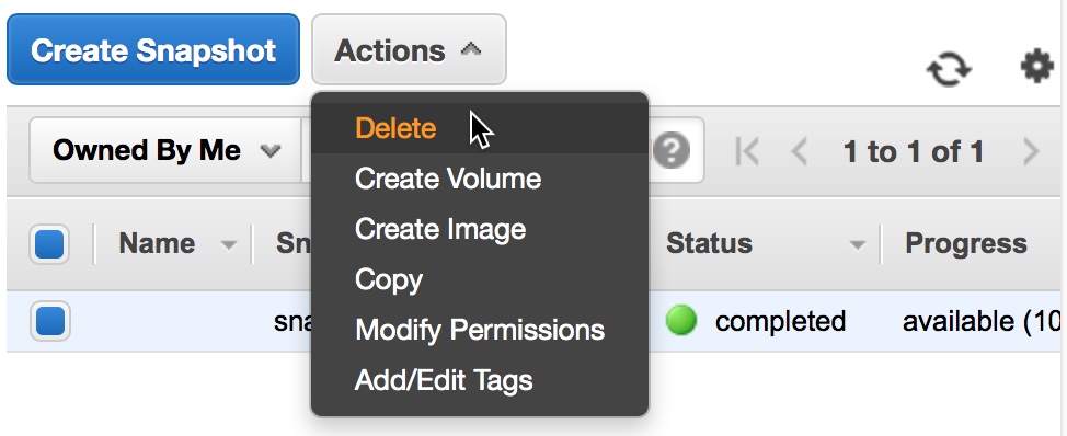 Figure 6 - Delete the AMI Snapshot to Avoid Incurring Costs